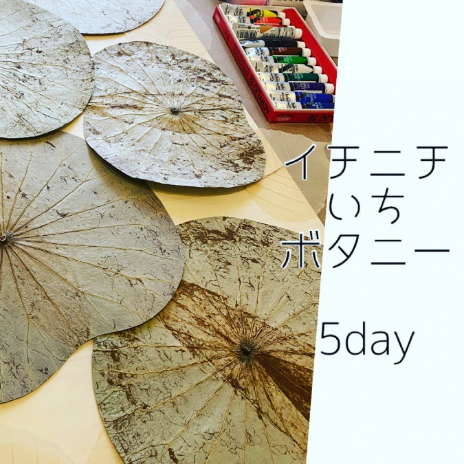 5day 君はここで、君はここ。