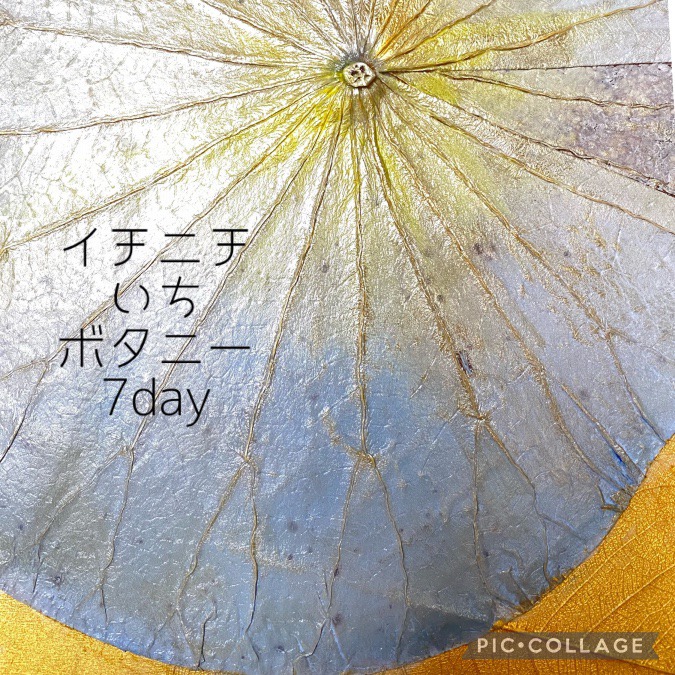 7day 水色は何の色？