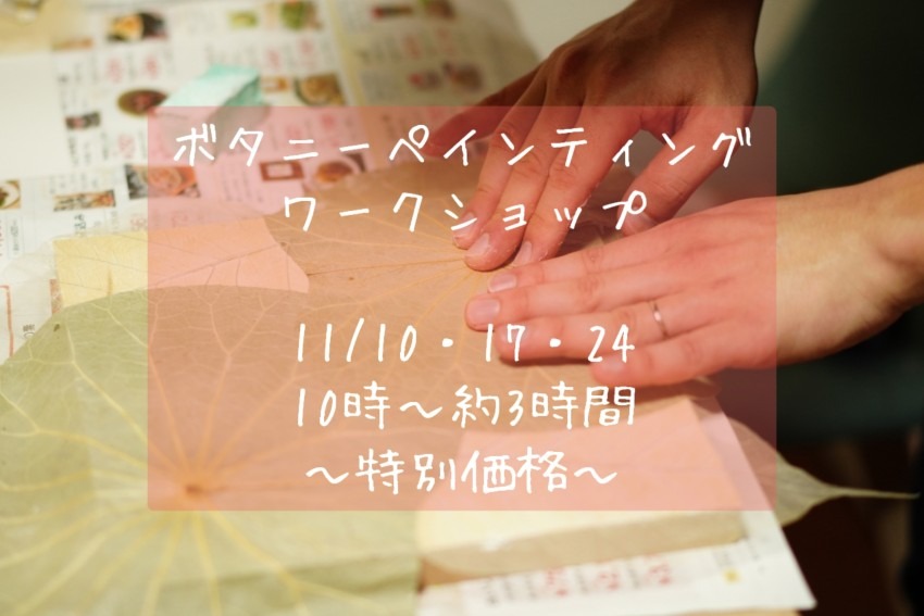 北海道札幌市◆１１月１０日（木）・１７日（木）・２４日（木）