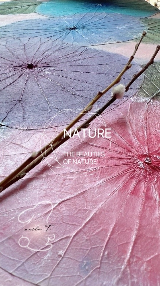 The beauties of nature