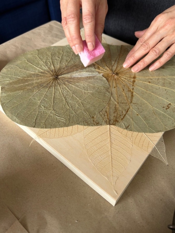 【横浜・藤沢】9月オープン🌿ワークショップ