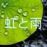 虹と雨